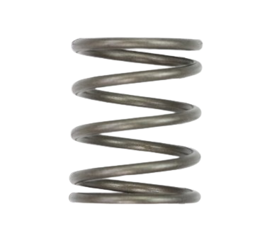 Titan 0005311 Piston Spring