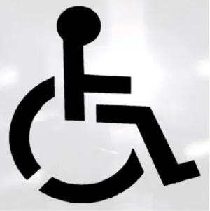 Titan 0290932 Handicap Stencil Kit
