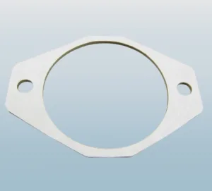 Titan 0537442 Hydraulic Pump Gasket