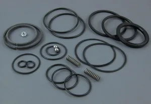 Titan 441-071 Minor Motor Service Kit